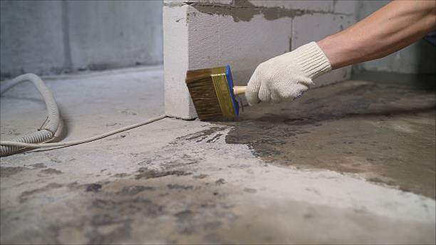 Trusted Waterproofing service in Lenoir City, TN - SGP Waterproofing